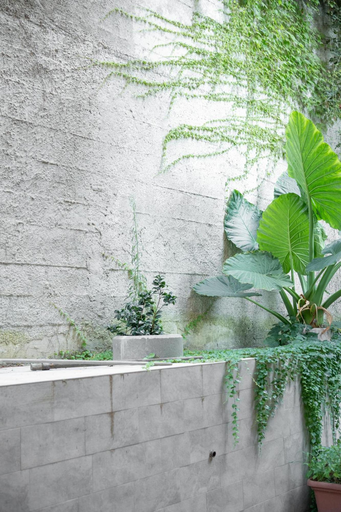 Roark Garden By Dimorra Apartment Naples